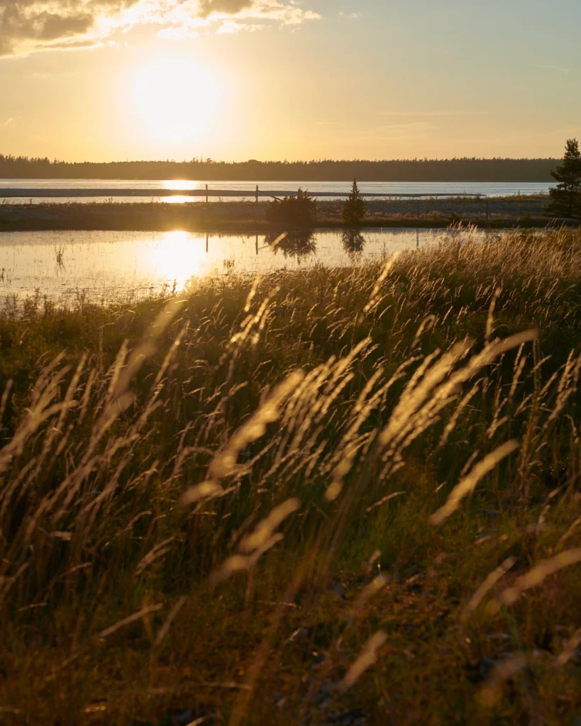 Solnedgång över gräsfält vid havet – symbol för Oglands ekologiska och naturnära sängkläder